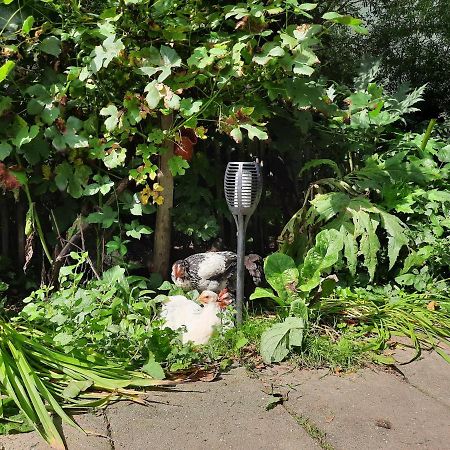 De Akker, Unieke Overnachting In Pipowagens! Ommeren Extérieur photo